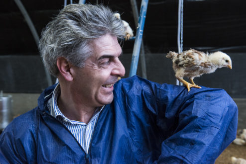Andrea Costa, Amministratore Delegato Valverde