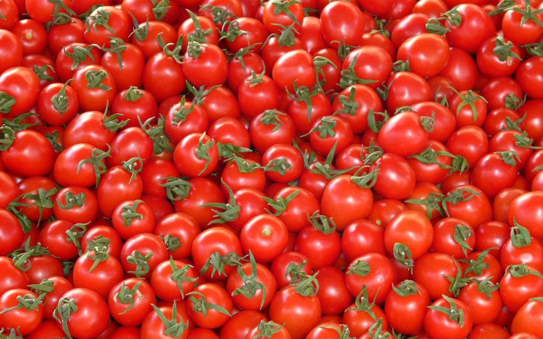 Il pomodoro: il superfrutto chiamato anche l’Oro Rosso