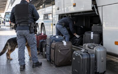 Torino, 17.248 compresse di oppioidi nascoste nei bagagli di un bus: arrestata una 44enne nigeriana