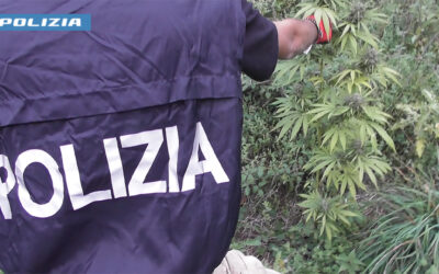 Torricella, sorpreso tra le piante di marijuana: in casa quasi un chilo nei barattoli, arrestato 48enne